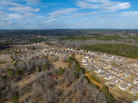72 Christy Ln, Jasper, AL 35504 photo 35