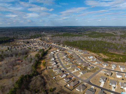 72 Christy Ln, Jasper, AL 35504 photo 36