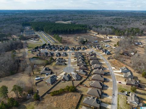 72 Christy Ln, Jasper, AL 35504 photo 37