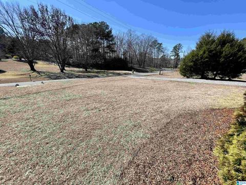 9423 Central Rd, Warrior, AL 35180 photo 11