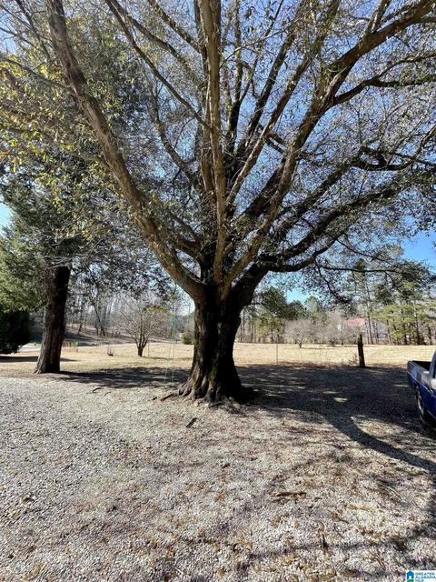 9423 Central Rd, Warrior, AL 35180 photo 2