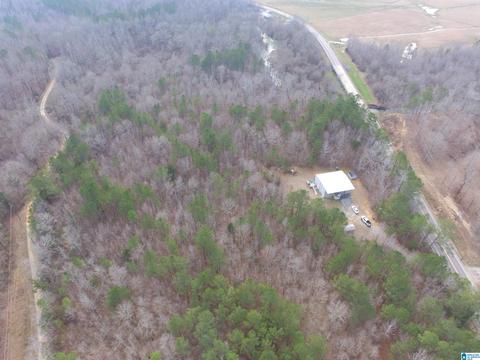 9764 Mudd St, Ohatchee, AL 36271 photo 8