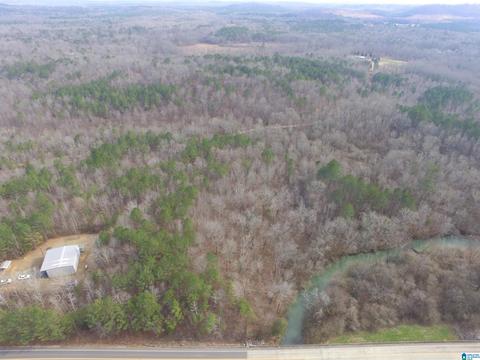 9764 Mudd St, Ohatchee, AL 36271 photo 7