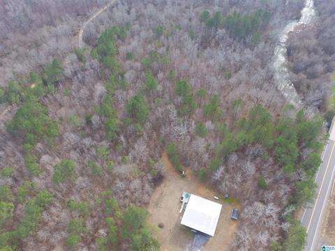 9764 Mudd St, Ohatchee, AL 36271 photo 10
