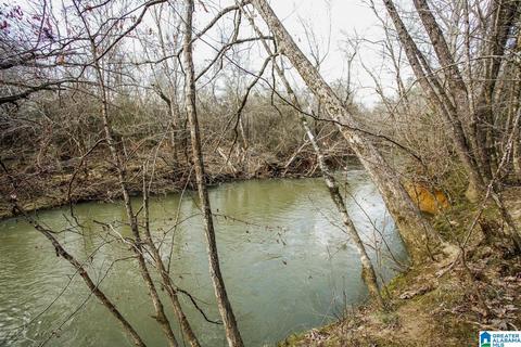 9764 Mudd St, Ohatchee, AL 36271 photo 1