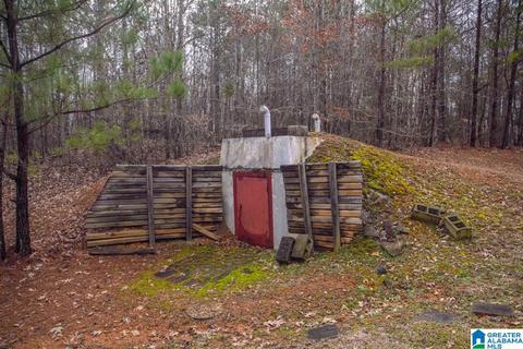 9764 Mudd St, Ohatchee, AL 36271 photo 23