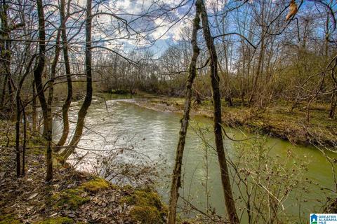 9764 Mudd St, Ohatchee, AL 36271 photo 4