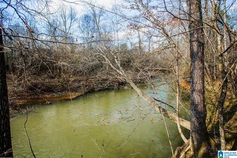 9764 Mudd St, Ohatchee, AL 36271 photo 3