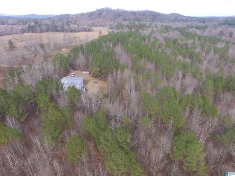 9764 Mudd St, Ohatchee, AL 36271 photo 5