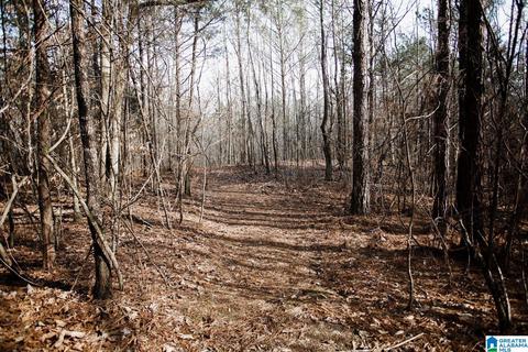 9764 Mudd St, Ohatchee, AL 36271 photo 2