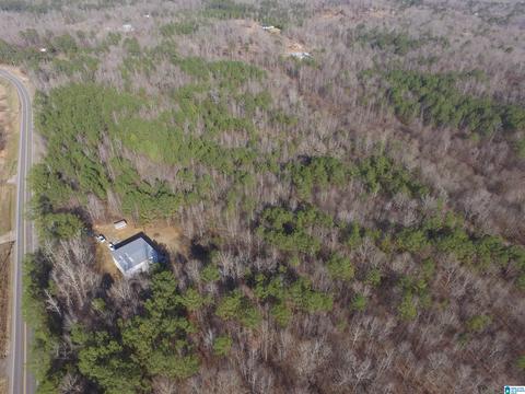 9764 Mudd St, Ohatchee, AL 36271 photo 9