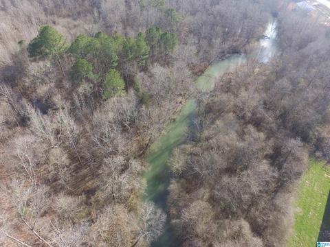 9764 Mudd St, Ohatchee, AL 36271 photo 6