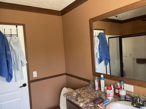 5289 County Road 282, Five Points, AL 36855 photo 11