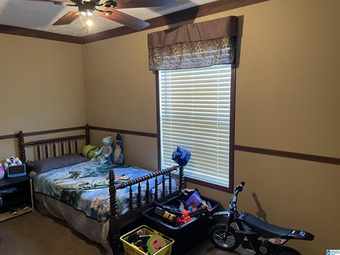5289 County Road 282, Five Points, AL 36855 photo 7