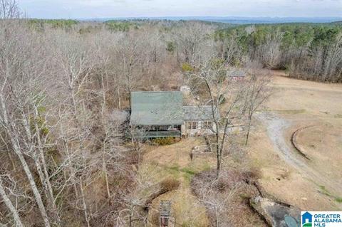 685 Johnny Shipp Rd, Warrior, AL 35180 photo 20
