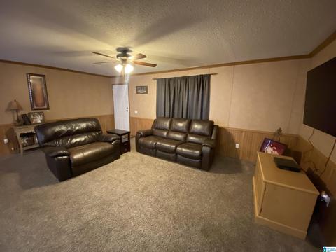 2094 Oakman Parrish Rd, Parrish, AL 35580 photo 10