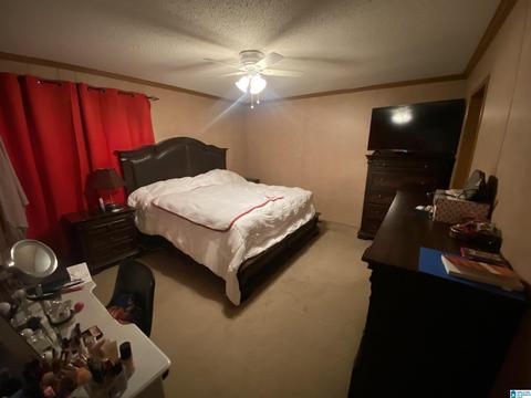 2094 Oakman Parrish Rd, Parrish, AL 35580 photo 19