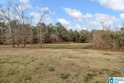 20001 Rabbit Rdg, Mc Calla, AL 35111 photo 28