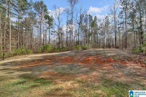 20001 Rabbit Rdg, Mc Calla, AL 35111 photo 25