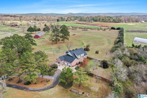 5315 County Road 43, Clanton, AL 35045 photo 42