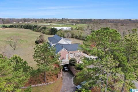 5315 County Road 43, Clanton, AL 35045 photo 45
