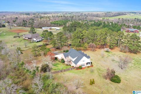 5315 County Road 43, Clanton, AL 35045 photo 5