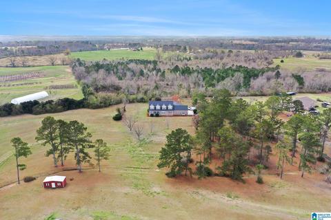 5315 County Road 43, Clanton, AL 35045 photo 43