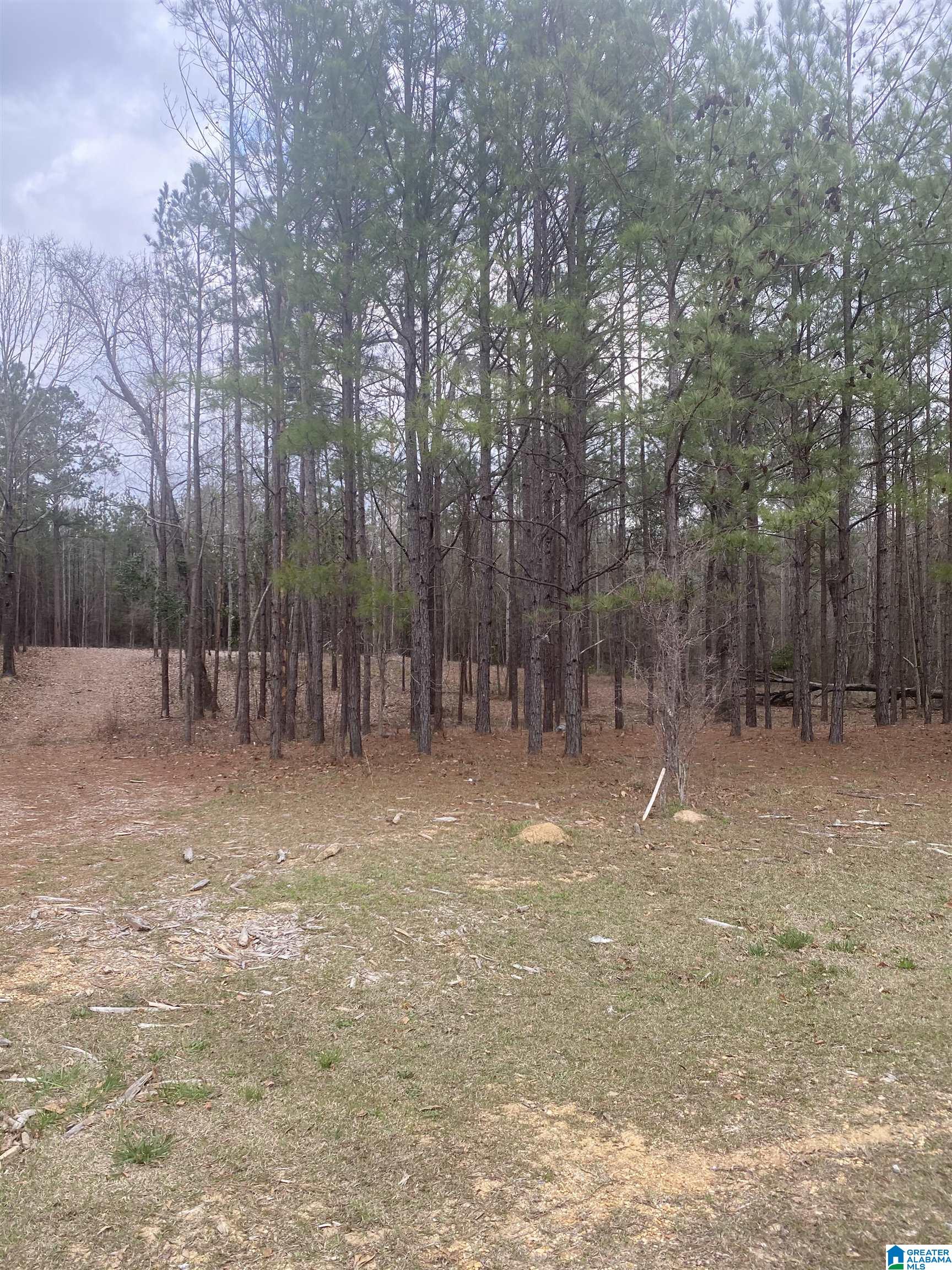 640 SHANKS DR Unit 1  