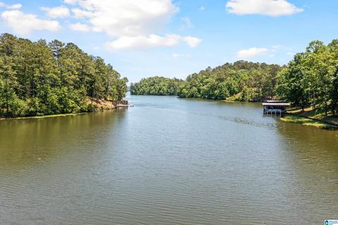 280 County Road 199, Clanton, AL 35046 photo 42