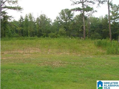 9166 Thermal Rd #1, Warrior, AL 35180