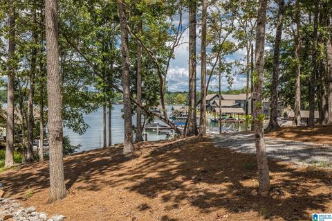 398 Old Jay Rd, Eclectic, AL 36024 photo 4