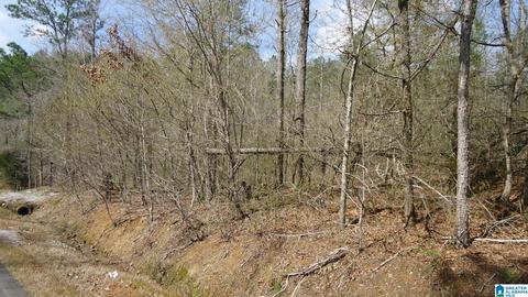 551 Grayton Rd S #0, Ohatchee, AL 36206