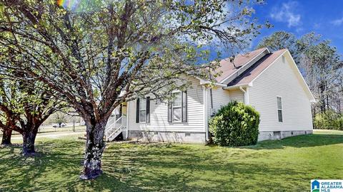 246 Smith Rd, Trafford, AL 35172 photo 20
