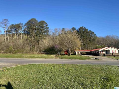 2018 2nd Ave #457891011, Oneonta, AL 35121 photo 1