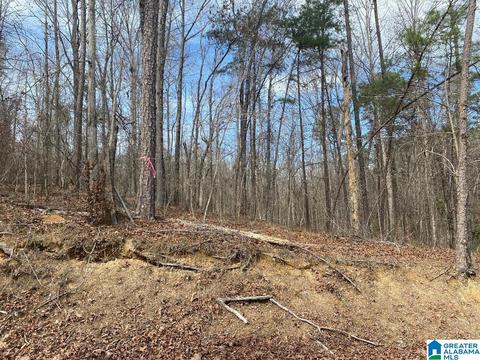 Raccoon Branch Road, Jasper, AL 35504