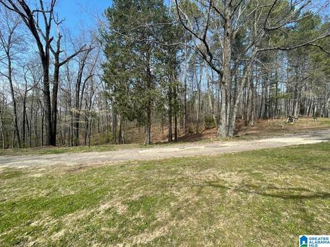 3991 Pine Mountain Rd, Remlap, AL 35133 photo 22