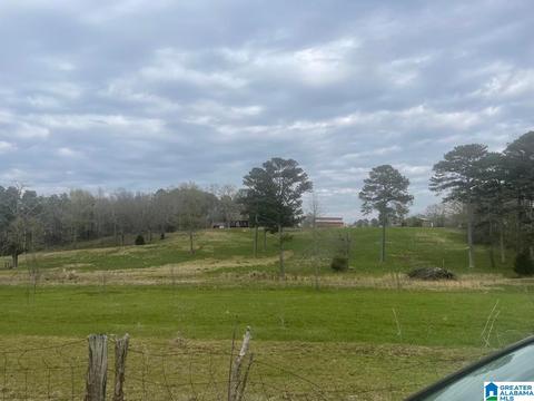 3991 Pine Mountain Rd, Remlap, AL 35133 photo 20
