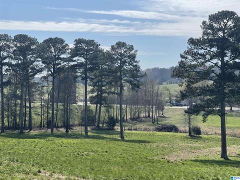 3991 Pine Mountain Rd, Remlap, AL 35133 photo 4