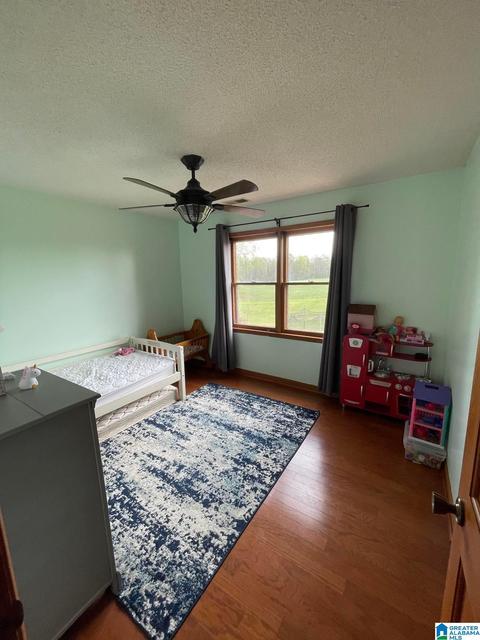 3991 Pine Mountain Rd, Remlap, AL 35133 photo 11