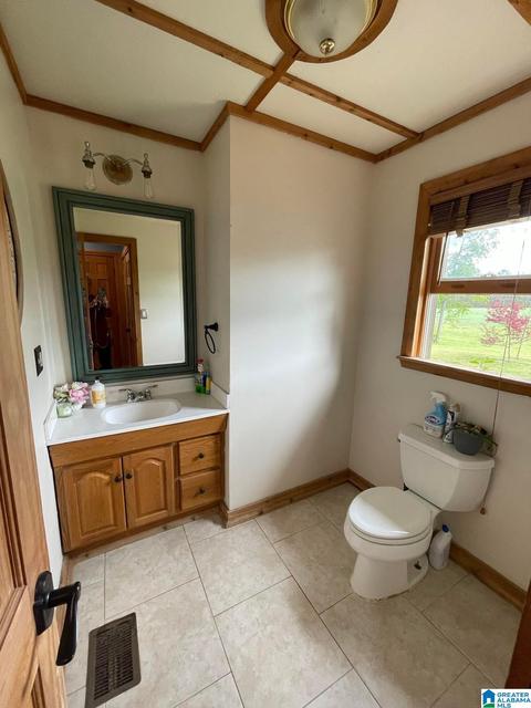 3991 Pine Mountain Rd, Remlap, AL 35133 photo 9