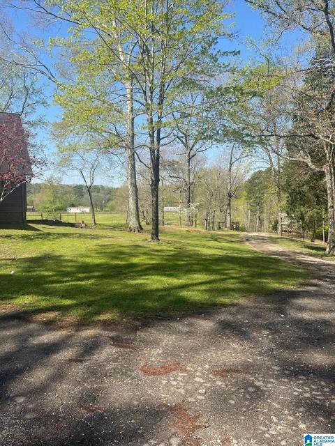 3991 Pine Mountain Rd, Remlap, AL 35133 photo 17