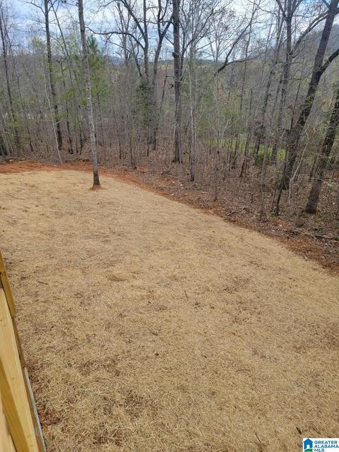 7961 Forest Loop, Pinson, AL 35126 photo 5