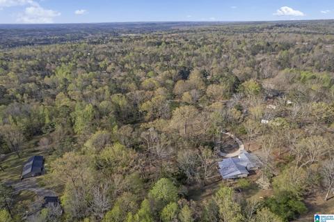 81 Echo Cir, Warrior, AL 35180 photo 42