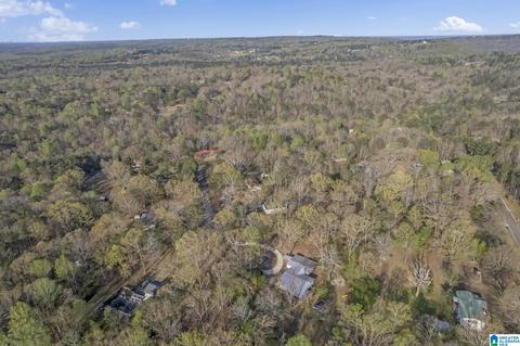 81 Echo Cir, Warrior, AL 35180 photo 41