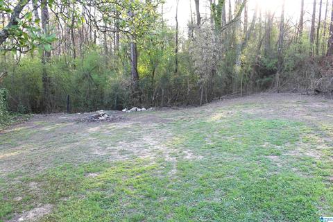 117 Mchugh St, Steele, AL 35987 photo 11
