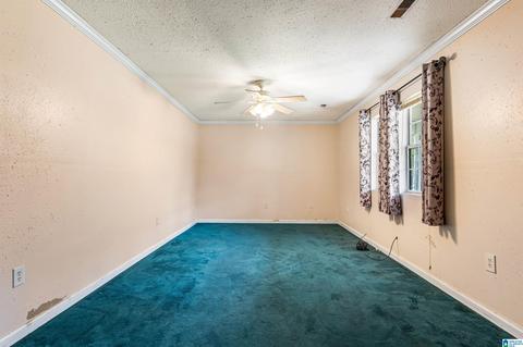 21931 Willow Bend Rd, Mc Calla, AL 35111 photo 6