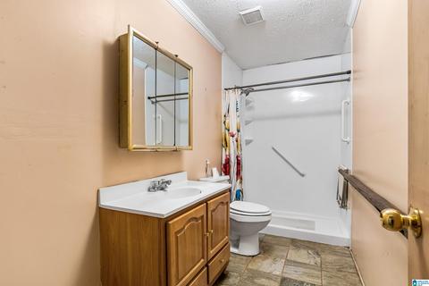 21931 Willow Bend Rd, Mc Calla, AL 35111 photo 15