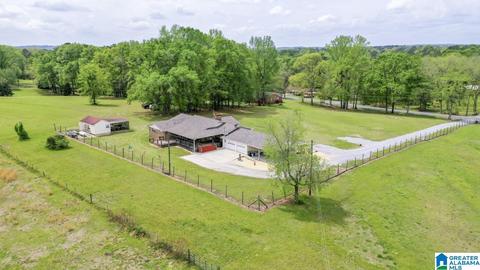 536 Thrash Rd, Clanton, AL 35045 photo 49