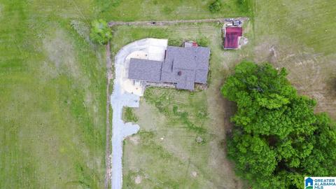 536 Thrash Rd, Clanton, AL 35045 photo 47