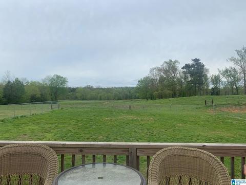 1101 Warrior Rd, Ohatchee, AL 36271 photo 2